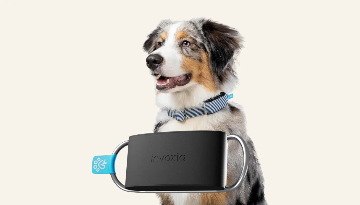 Invoxia Minitailz