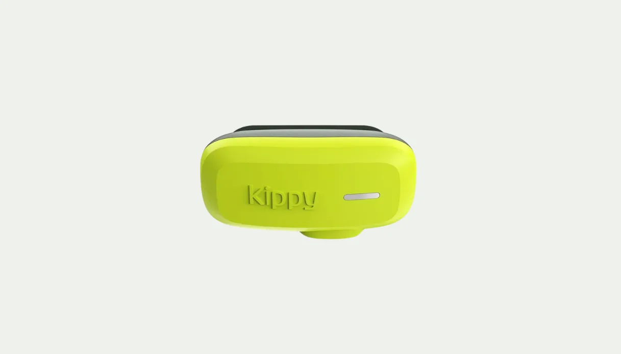 Kippy DOG