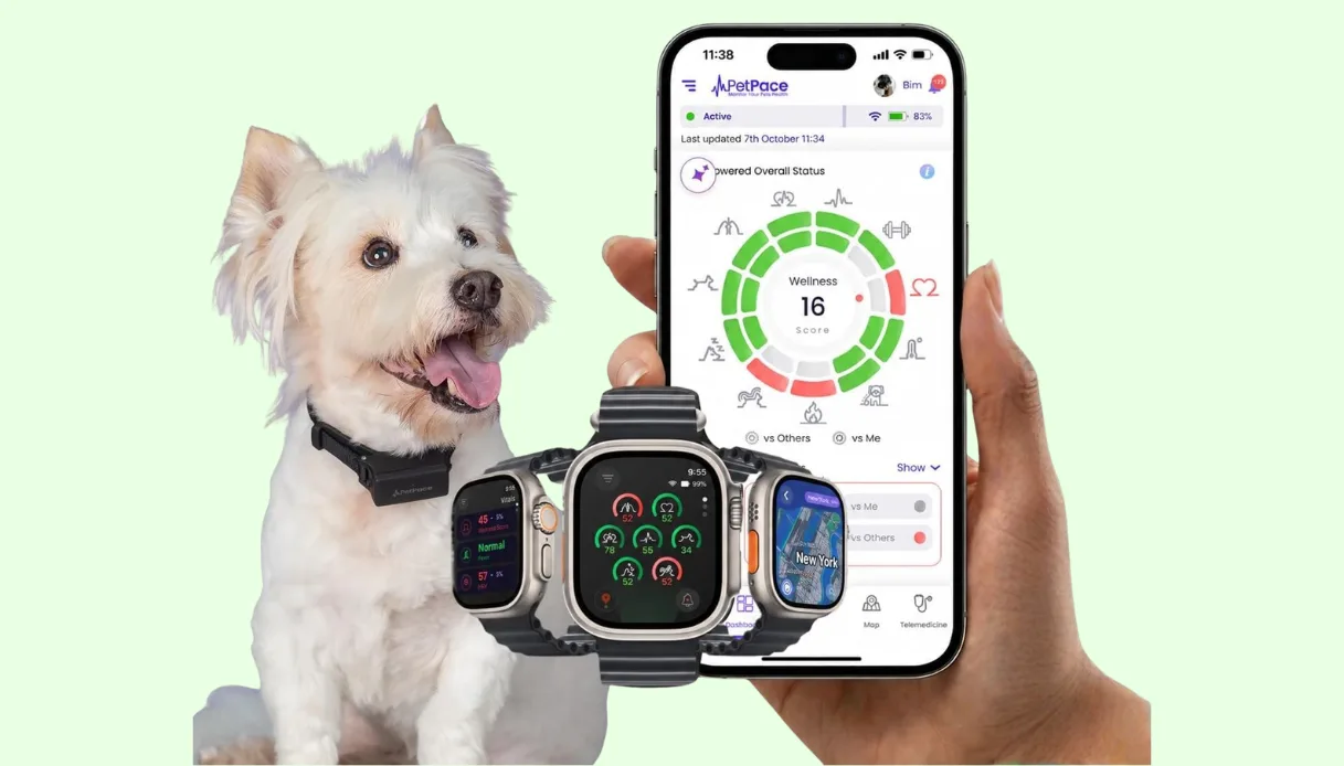 PetPace V3.0